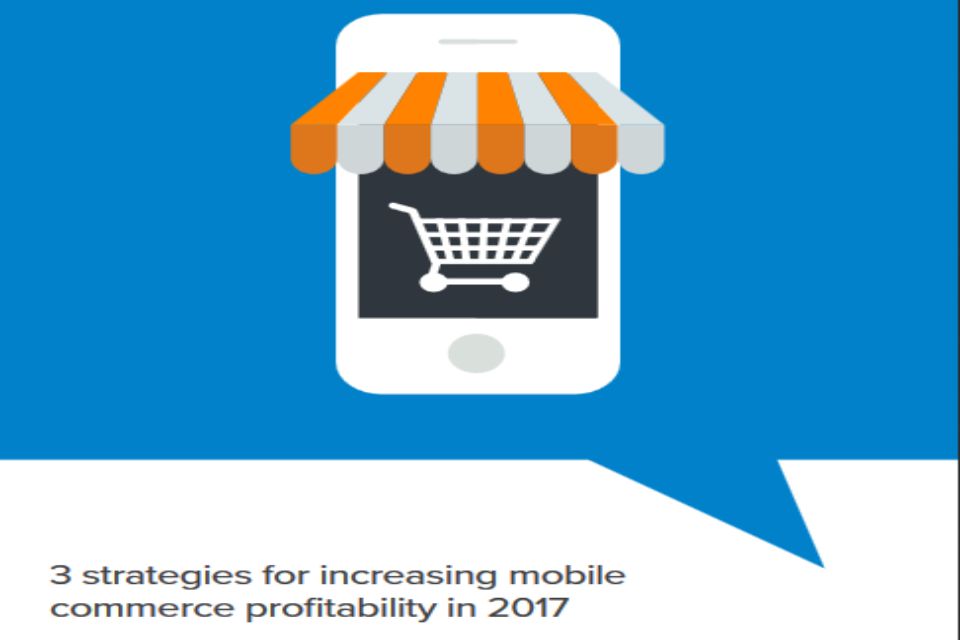 Even though smartphone use continues to rise among consumers, many retail organizations share the belief that mobile doesnt convert. <a href="3 strategies for increasing mobile commerce profitability in 2017.php" style="font-size: 16px;
font-weight: 300;
margin-bottom: 0;">Read More</a>